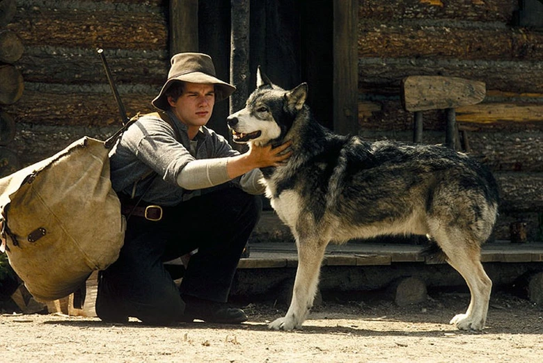 Muž se klene vedle vlka v scéně z filmu o psích.