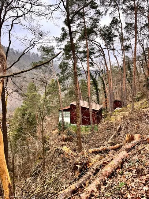 Dřevěný domek v lese na svahu s padlými stromy.